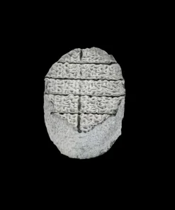 Alternative view of XV du pic cendré 110g x 8