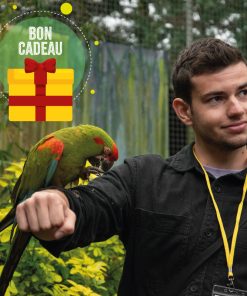 Alternative view of Bon Cadeau – Dans la peau d&rsquo;un soigneur